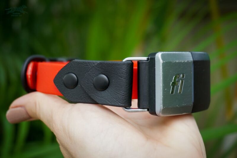 Fi Compatible 3/4" Waterproof Buckle Collar - Image 2