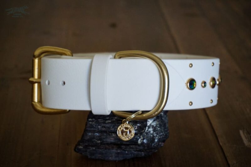 Fi Compatible SHASTA 1.5" Studded Buckle Collar - Image 6
