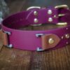 Fi Compatible SHASTA 1.5" Studded Buckle Collar - Image 3