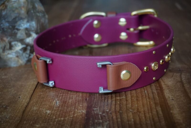 Fi Compatible SHASTA 1.5" Studded Buckle Collar - Image 3