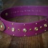 Fi Compatible SHASTA 1.5" Studded Buckle Collar - Image 2