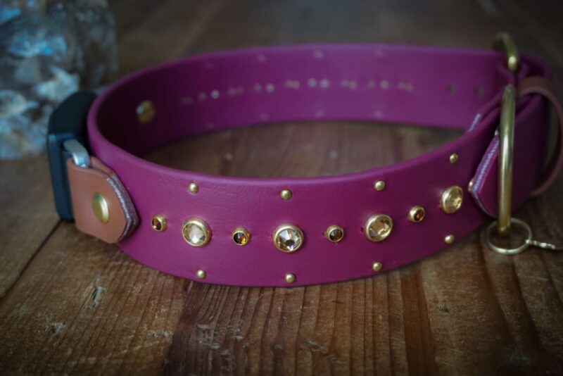 Fi Compatible SHASTA 1.5" Studded Buckle Collar - Image 2