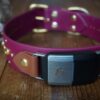 Fi Compatible SHASTA 1.5" Studded Buckle Collar