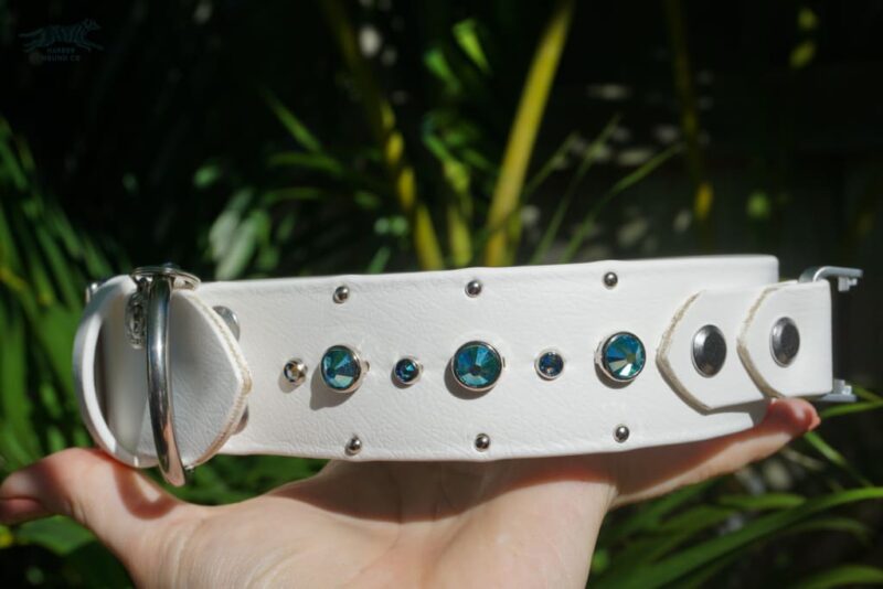 Fi Compatible SHASTA 1.5" Studded Buckle Collar - Image 5