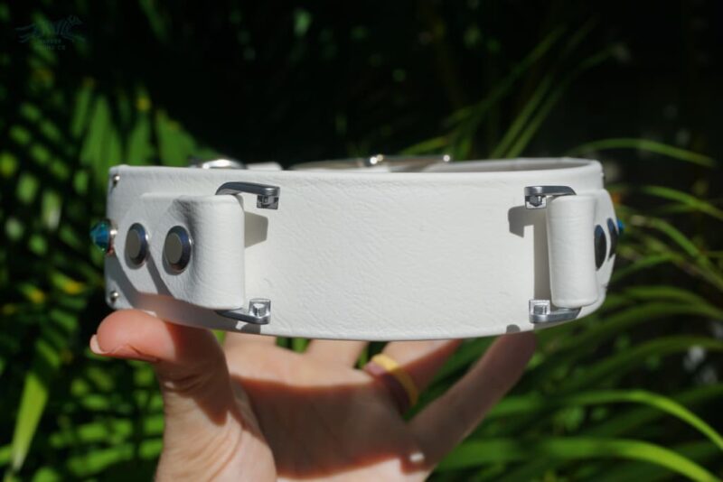Fi Compatible SHASTA 1.5" Studded Buckle Collar - Image 4