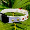 Fi Compatible TALA 1" Studded Buckle Collar