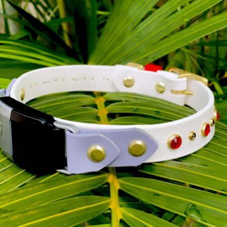 Fi Compatible TALA 1" Studded Buckle Collar
