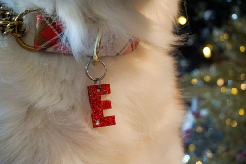 Monorgam Collar Charm - Image 4