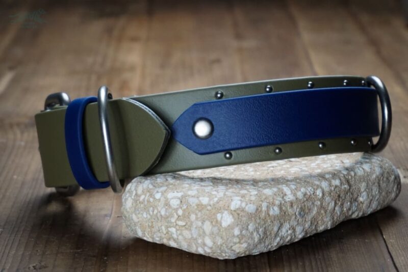 ORION 1.5" Studded Buckle Collar - Image 3