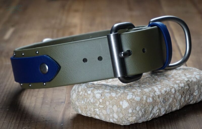 ORION 1.5" Studded Buckle Collar - Image 2