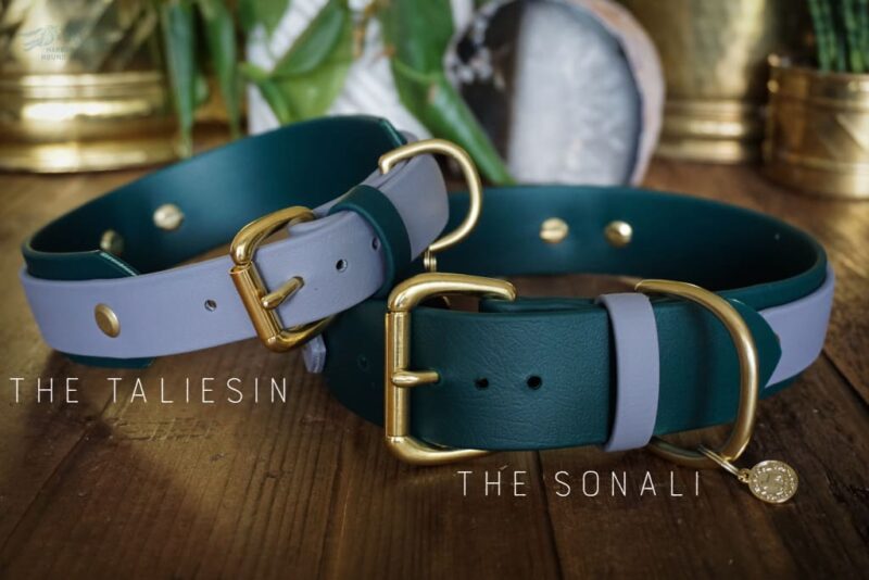 ORION 1.5" Studded Buckle Collar - Image 11
