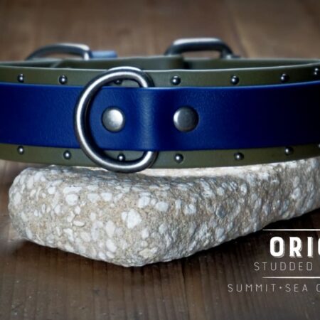 ORION 1.5" Studded Buckle Collar