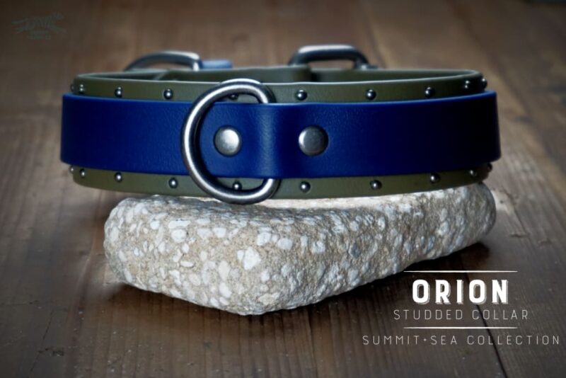 ORION 1.5" Studded Buckle Collar