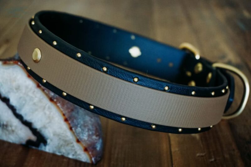 ORION 1.5" Studded Buckle Collar - Image 7