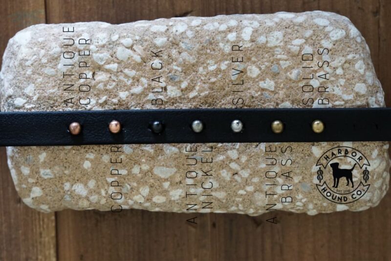 ORION 1.5" Studded Buckle Collar - Image 9
