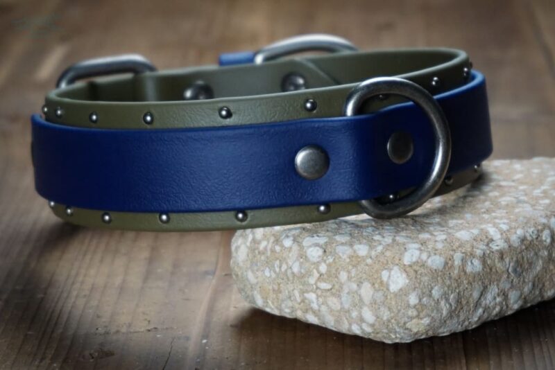 ORION 1.5" Studded Buckle Collar - Image 4