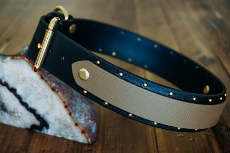 ORION 1.5" Studded Buckle Collar - Image 6