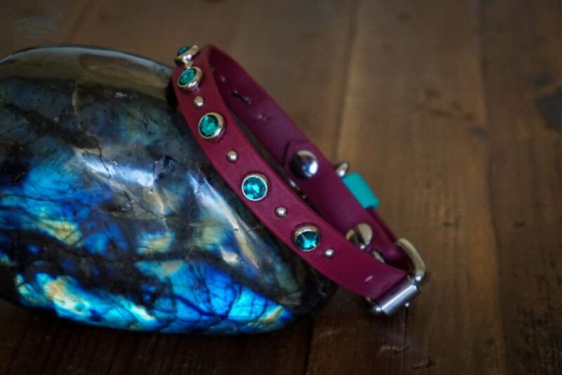 Petite TOFINO Crystal Buckle Collar - Image 5