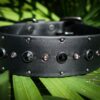 SHASTA 1.5" Crystal Studded Buckle Collar - Image 3