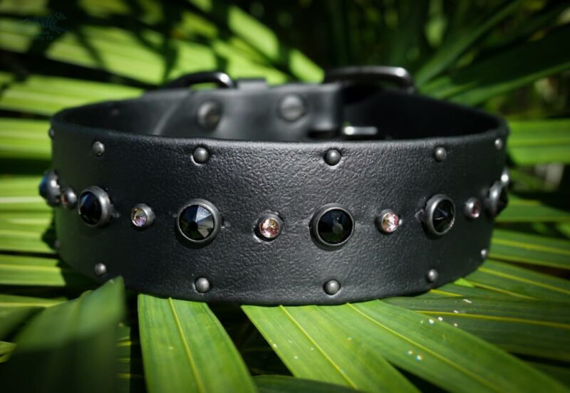 SHASTA 1.5" Crystal Studded Buckle Collar - Image 3