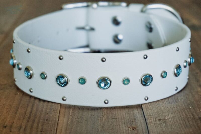 SHASTA 1.5" Crystal Studded Buckle Collar - Image 11