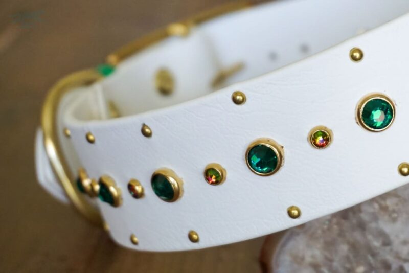 SHASTA 1.5" Crystal Studded Buckle Collar - Image 10