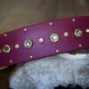 SHASTA 1.5" Crystal Studded Buckle Collar - Image 5