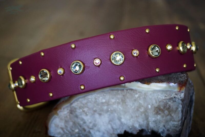 SHASTA 1.5" Crystal Studded Buckle Collar - Image 5