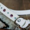 TALA 1" Crystal Studded Buckle Collar - Image 7