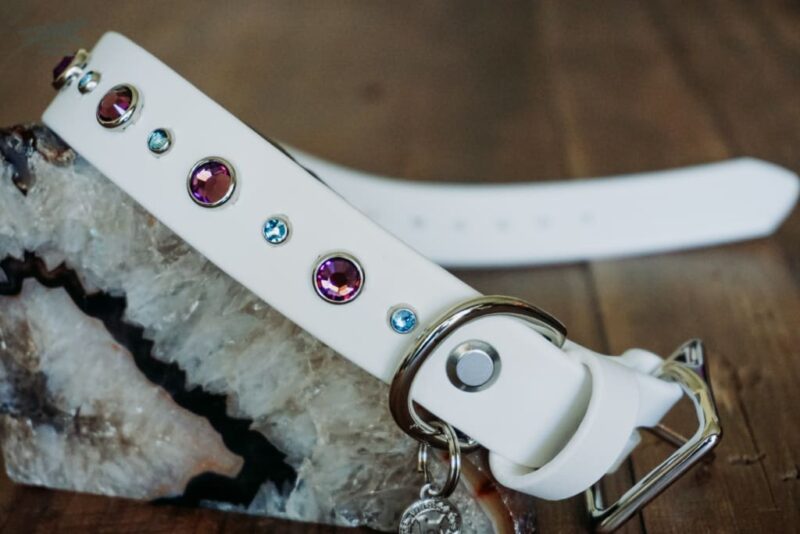 TALA 1" Crystal Studded Buckle Collar - Image 7