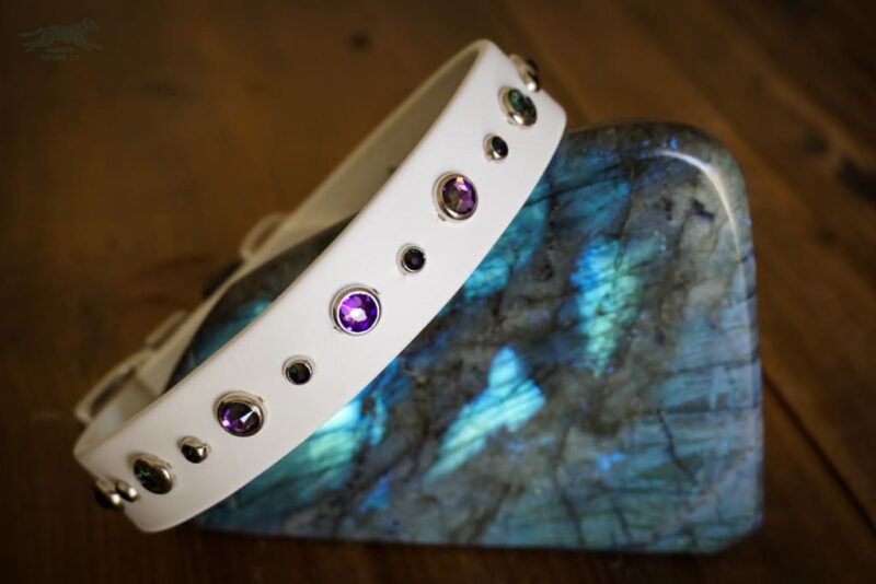 TALA 1" Crystal Studded Buckle Collar - Image 4