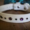TALA 1" Crystal Studded Buckle Collar - Image 6