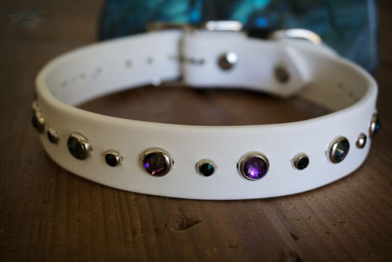 TALA 1" Crystal Studded Buckle Collar - Image 6