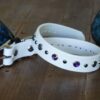 TALA 1" Crystal Studded Buckle Collar - Image 5