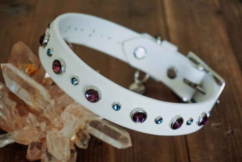 TALA 1" Crystal Studded Buckle Collar - Image 3