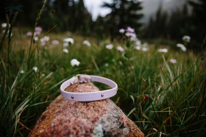 The Everyday Collar - Image 6