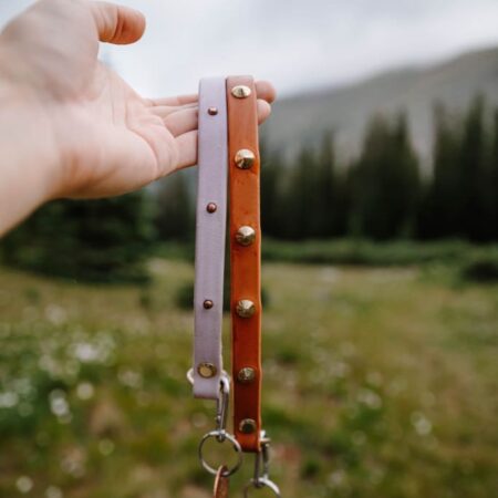 The Everyday Collar