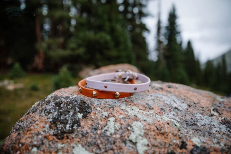 The Everyday Collar - Image 4