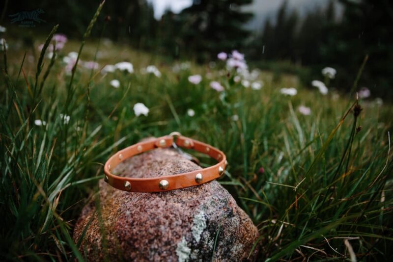 The Everyday Collar - Image 16