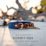 The Rua, 1.5" Two-Tone Waterproof Martingale Collar
