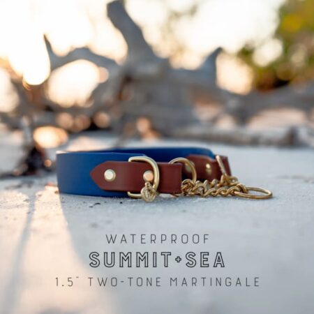 The Rua, 1.5" Two-Tone Waterproof Martingale Collar