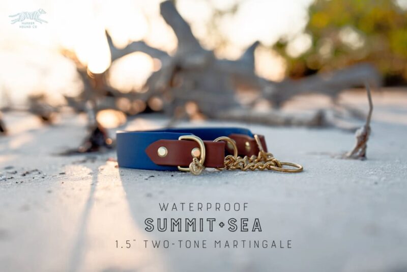 The Rua, 1.5" Two-Tone Waterproof Martingale Collar