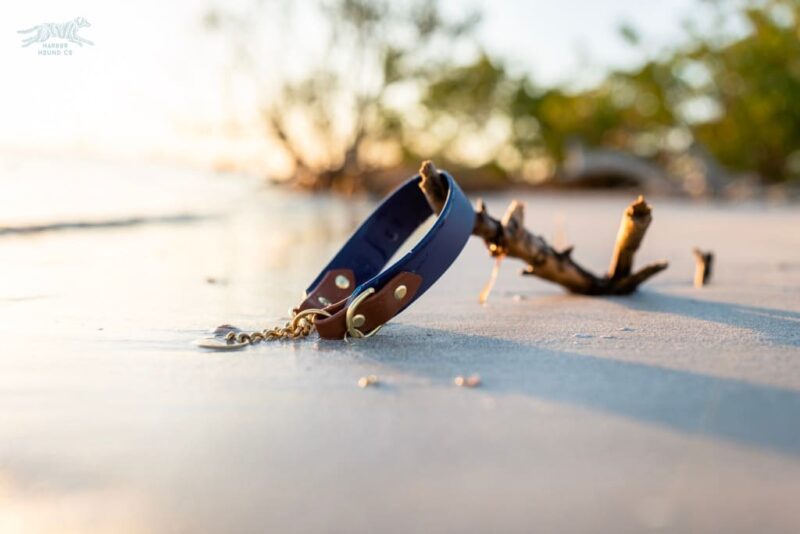 The Rua, 1.5" Two-Tone Waterproof Martingale Collar - Image 2