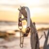 The Rua, 1" Two-Tone Waterproof Martingale Collar - Image 2