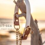 The Rua, 1" Two-Tone Waterproof Martingale Collar