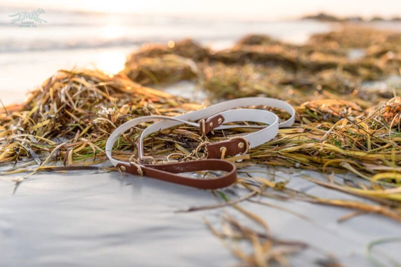 The Rua, 1" Two-Tone Waterproof Martingale Collar - Image 4