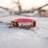 The Rua, 1" Two-Tone Waterproof Martingale Collar - Image 3