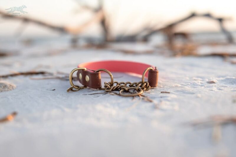 The Rua, 1" Two-Tone Waterproof Martingale Collar - Image 3