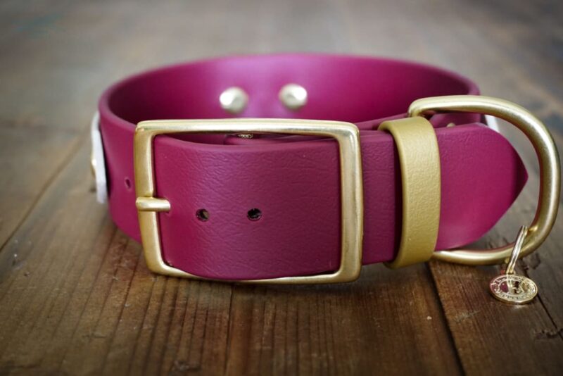 The Sonali - 1.5" Layered Buckle Collar - Image 7