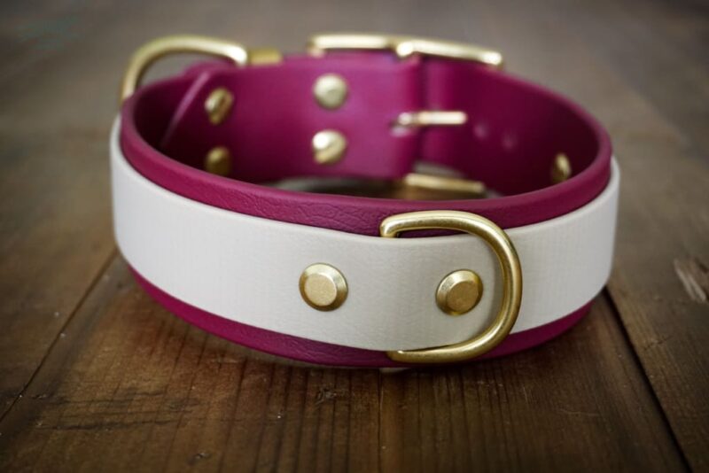The Sonali - 1.5" Layered Buckle Collar - Image 4